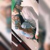 shorttycutie